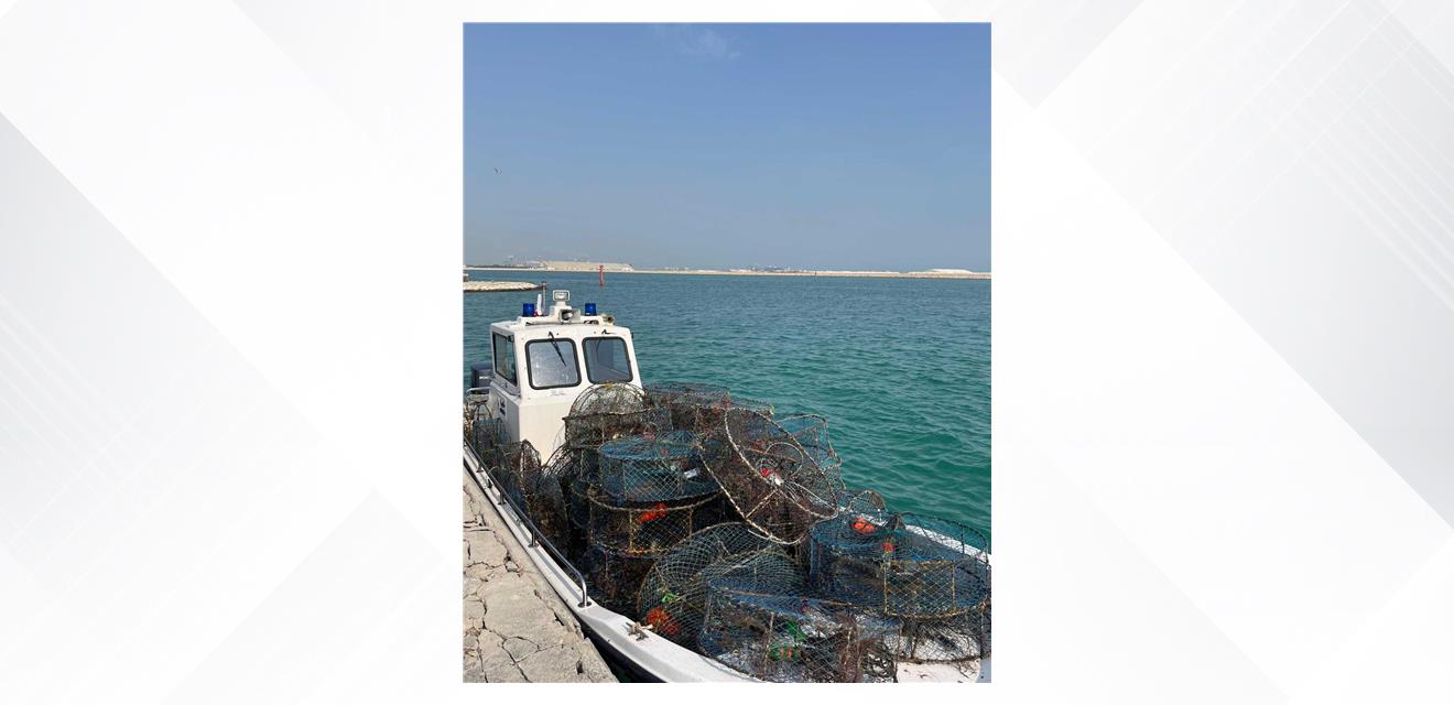 خفر السواحل تضبط 1191 مصيدة وشبكة صيد مخالفة خلال شهر ديسمبر 2025<